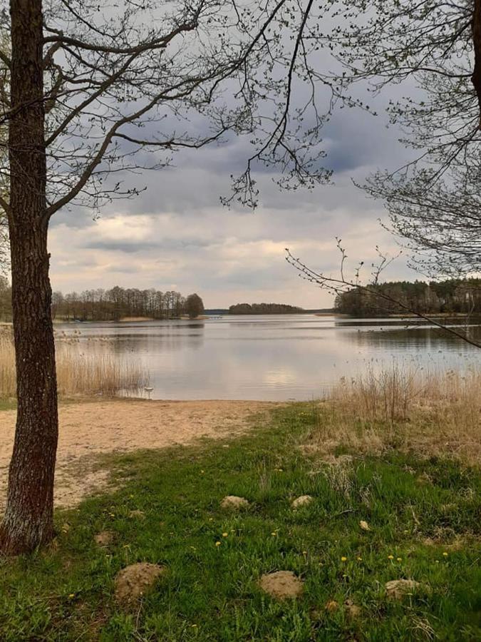 Swierkowy Zakatek Campsite *