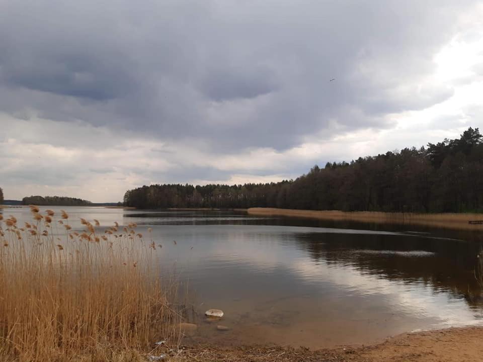 Campsite Swierkowy Zakatek